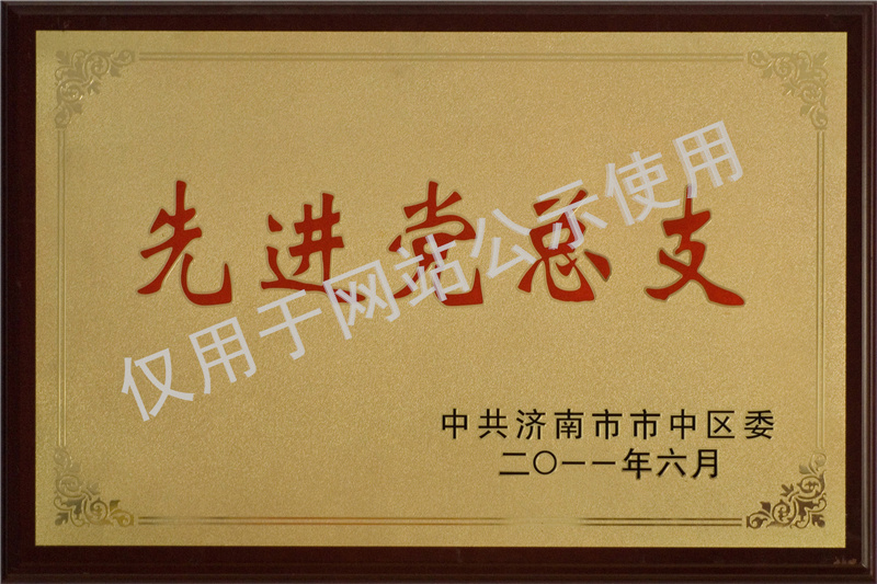 2011先進(Jìn)黨[Dǎng]總支